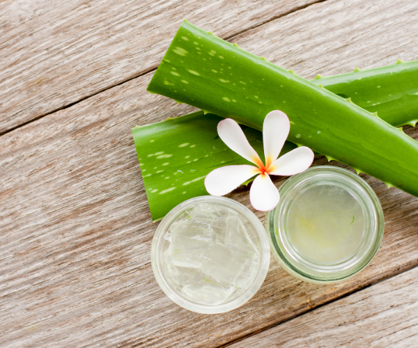 Aloe Vera Yağı Ve Faydaları