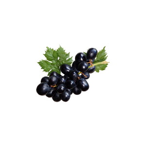 ÜZÜM ÇEKİRDEĞİ YAĞI (SOĞUK PRES) 1 KG #1