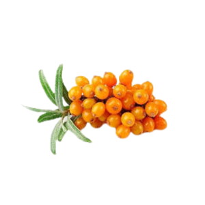 YABANİ İĞDE YAĞI 1 KG #1