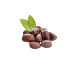 JOJOBA YAĞI 1 KG #1
