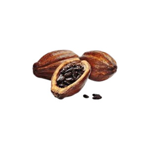 KAKAO YAĞI 1 KG #1