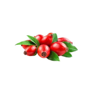 KUŞBURNU YAĞI 1 KG #1