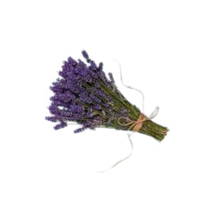 LAVANTA YAĞI (UÇUCU) 1 KG #1